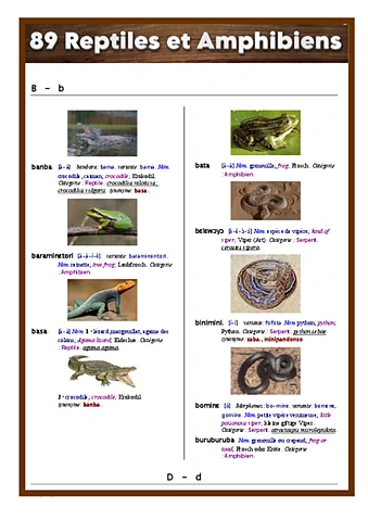 Bambara Reptiles et Amphibiens.pdf